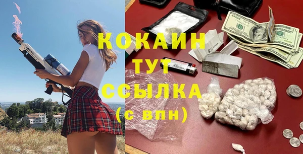 мяу мяу мука Алексин