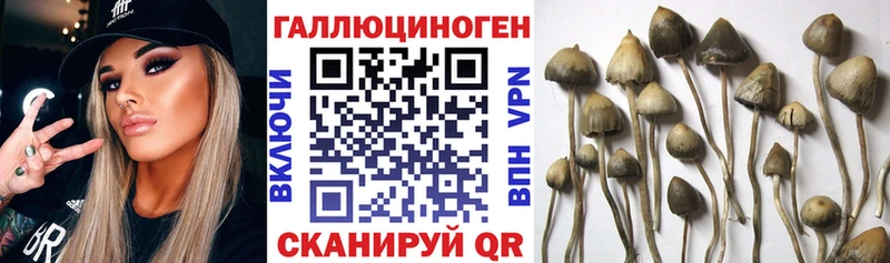 Галлюциногенные грибы ЛСД  купить наркоту  Брянск 