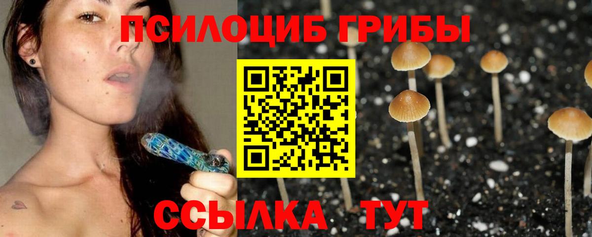 Псилоцибиновые грибы Magic Shrooms  Галлюциногенные грибы мухоморы  Брянск  Вход с VPN 